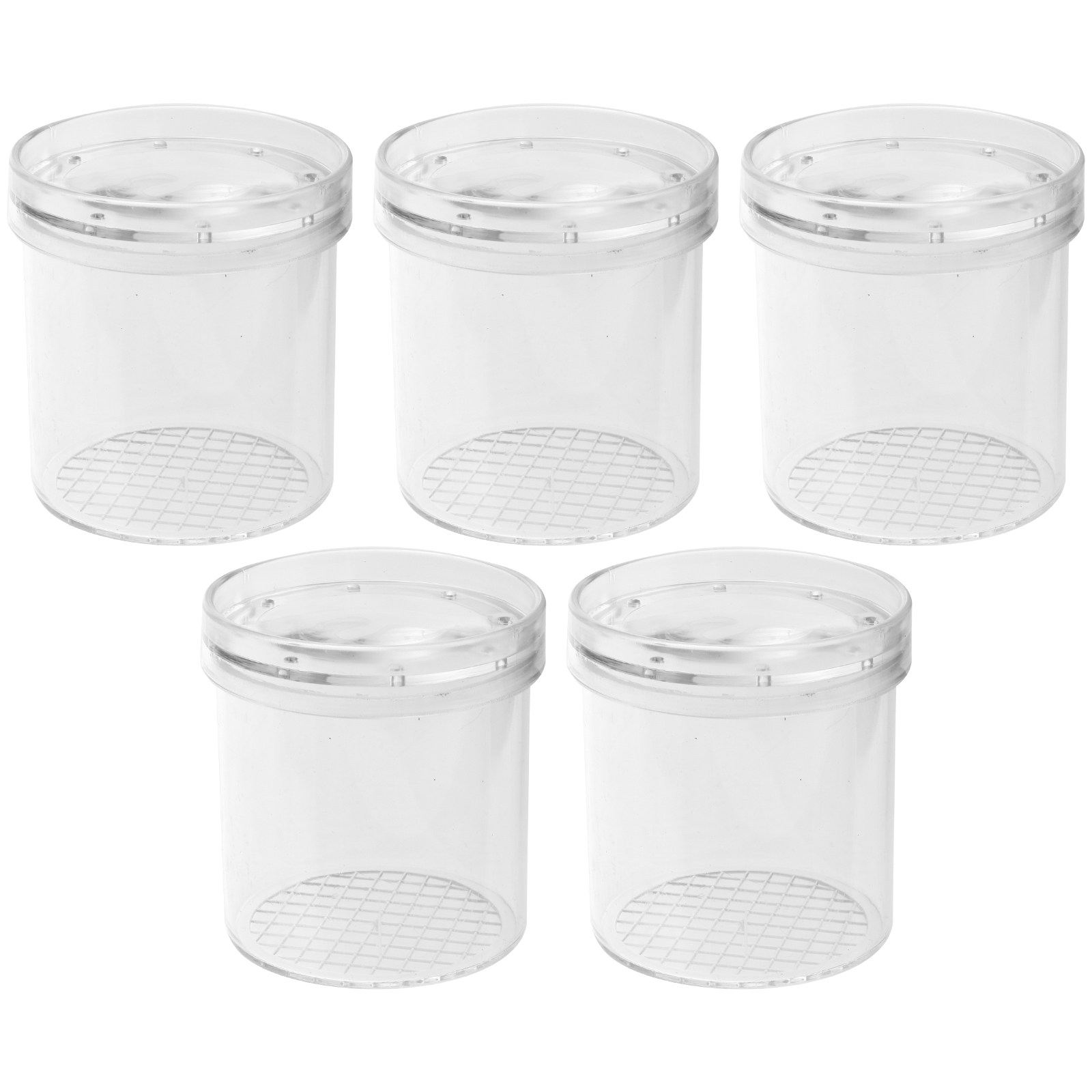 5Pcs Insect Viewer Magnifier f - Kids Nature Education recension och pris