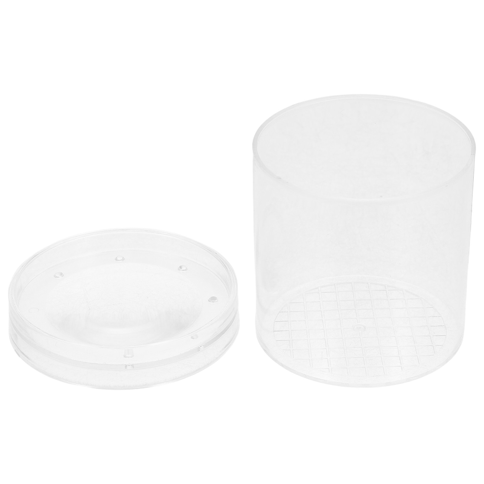 Insect Observation Box 3X Magn - Kids Nature Education recension och pris