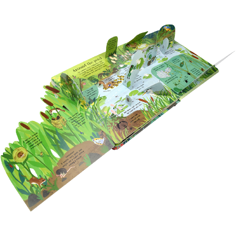 English Montessori 3D Usborne  - Kids Nature Education recension och pris